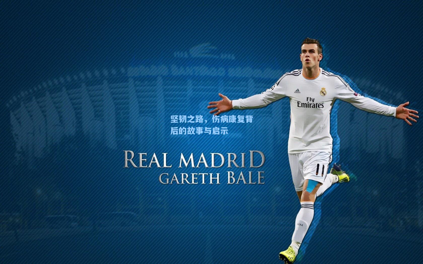 坚韧之路,伤病康复背后的故事与启示